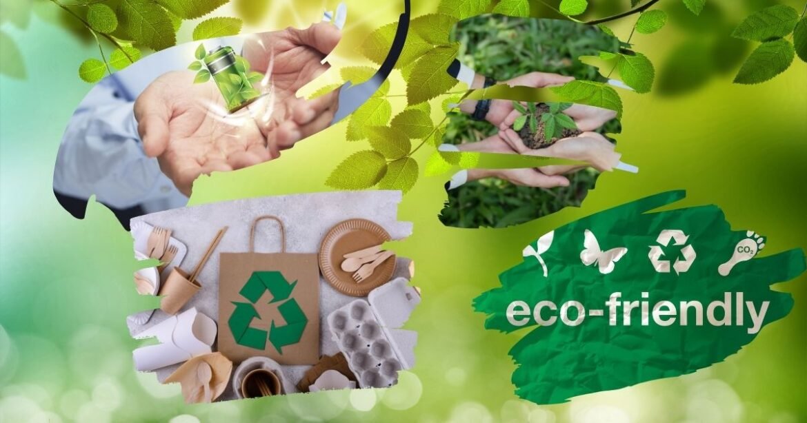 zero waste lifestyle